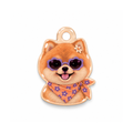 Teddy Bloom Kedi Köpek İsimlik – Ön yüz