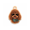Poodle Check Kedi Köpek İsimlik – Ön yüz