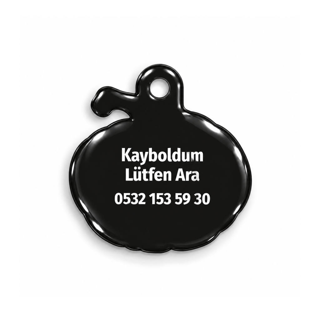 Pumpkin Kedi Köpek İsimlik – Arka yüz