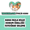 Tagsever.com Kodu