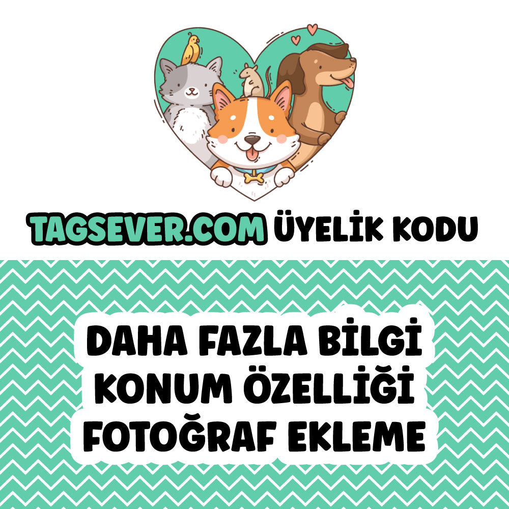 Tagsever.com Kodu