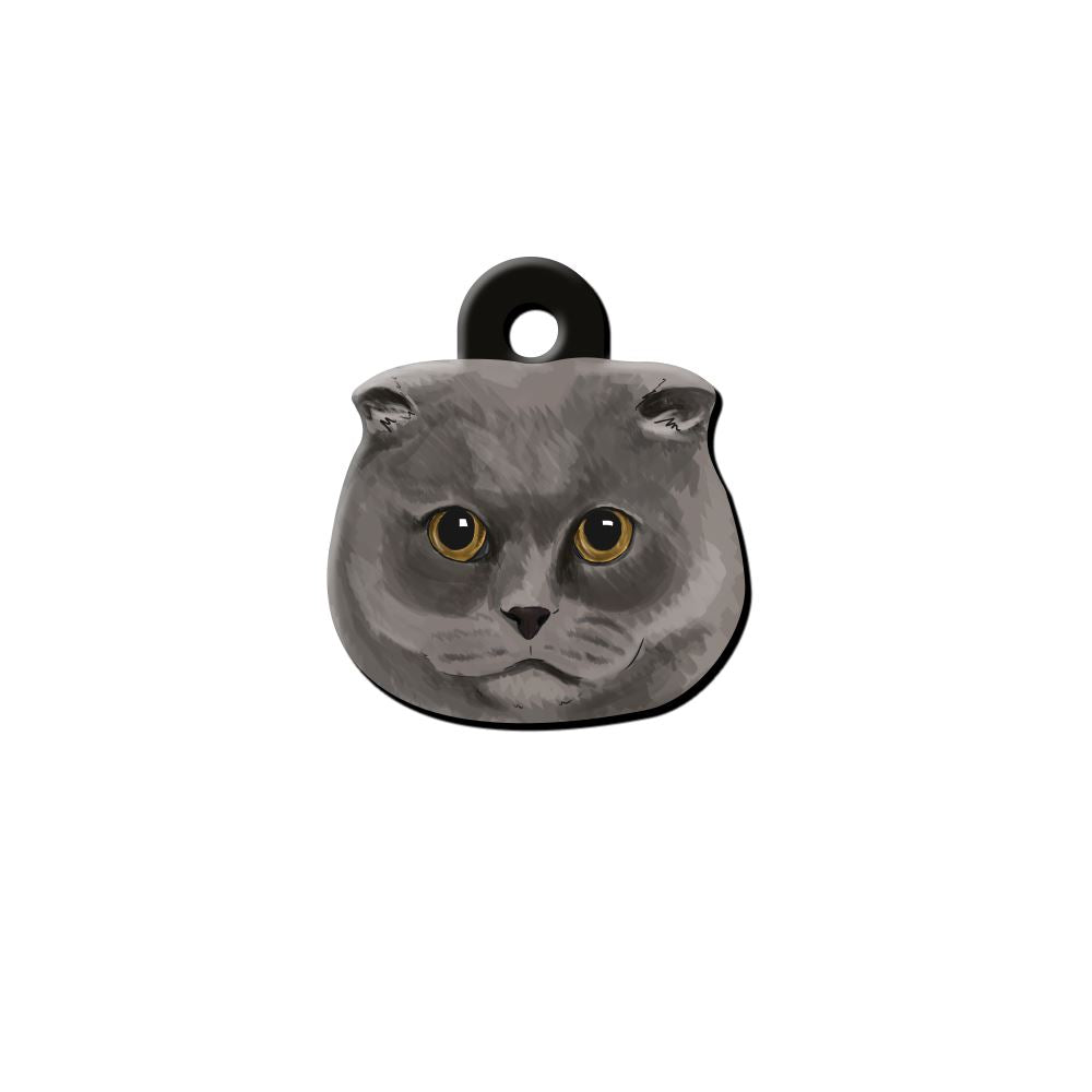 Scottish Fold Kedi Cinsleri TagsForever