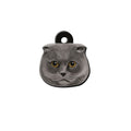 Scottish Fold Kedi Cinsleri TagsForever