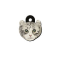 American Curl Cinsi | Kedi İsimlik Kedi Cinsleri TagsForever