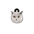British Shorthair Kedi Cinsleri TagsForever