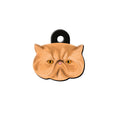 İran Kedisi Kedi Cinsleri TagsForever