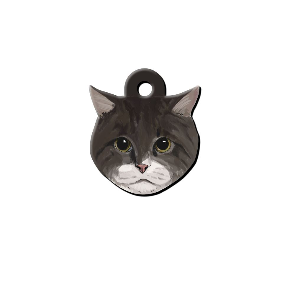 Sokak Kedisi Kedi Cinsleri TagsForever