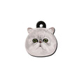 Chinchilla Kedi Cinsleri TagsForever