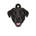 Labrador Köpek Cinsleri TagsForever