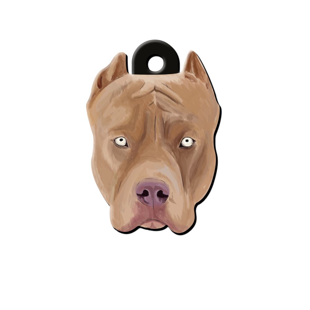Pitbull Köpek Cinsleri TagsForever
