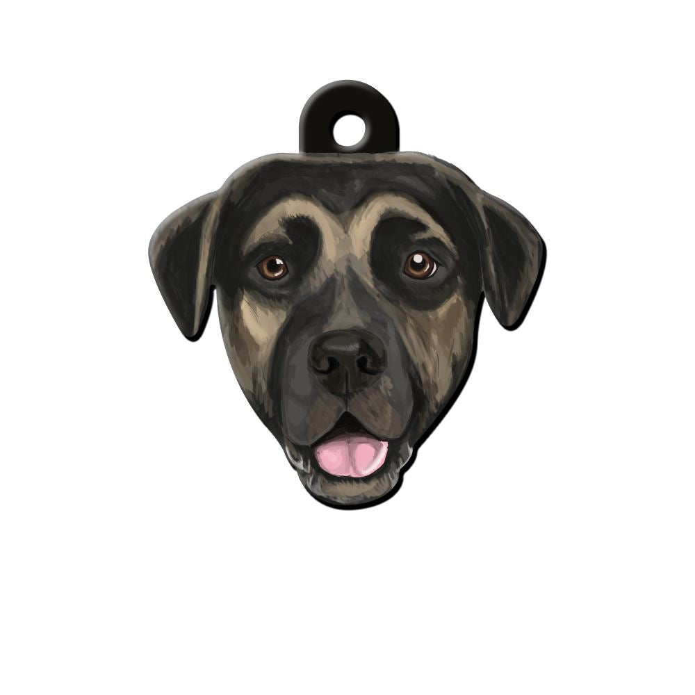 Sokak Köpeği Köpek Cinsleri TagsForever