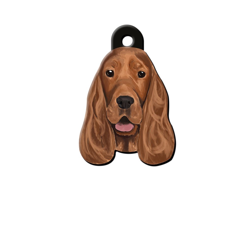 Cocker Spaniel Köpek Cinsleri TagsForever