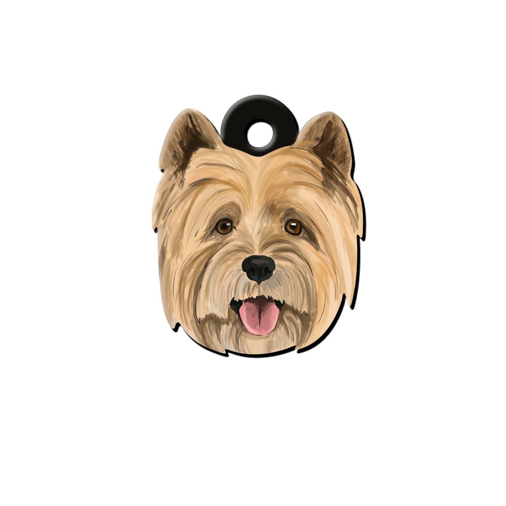 Terrier Köpek Cinsleri TagsForever