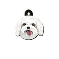 Maltese Terrier Köpek Cinsleri TagsForever