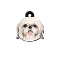 Shih Tzu Köpek Cinsleri TagsForever