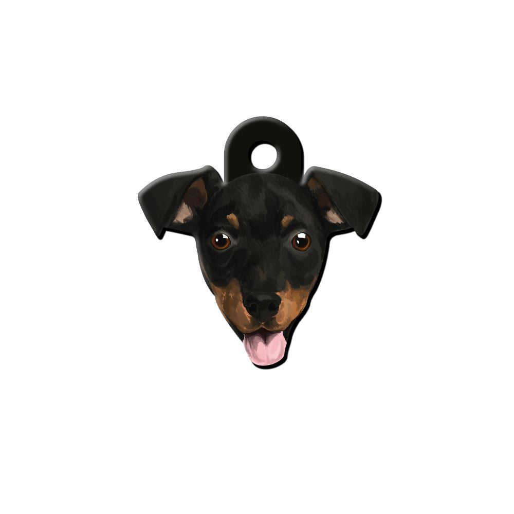 Pinscher Köpek Cinsleri TagsForever