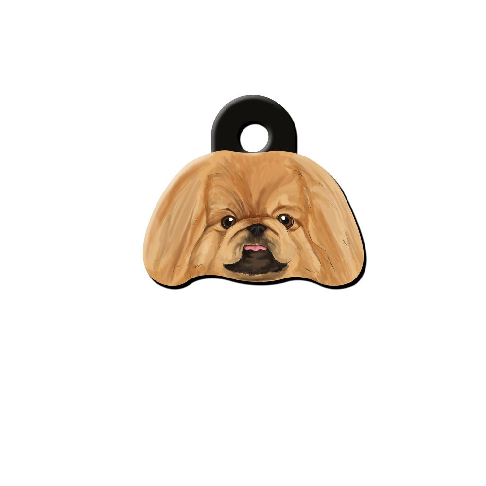 Pekingese Köpek Cinsleri TagsForever