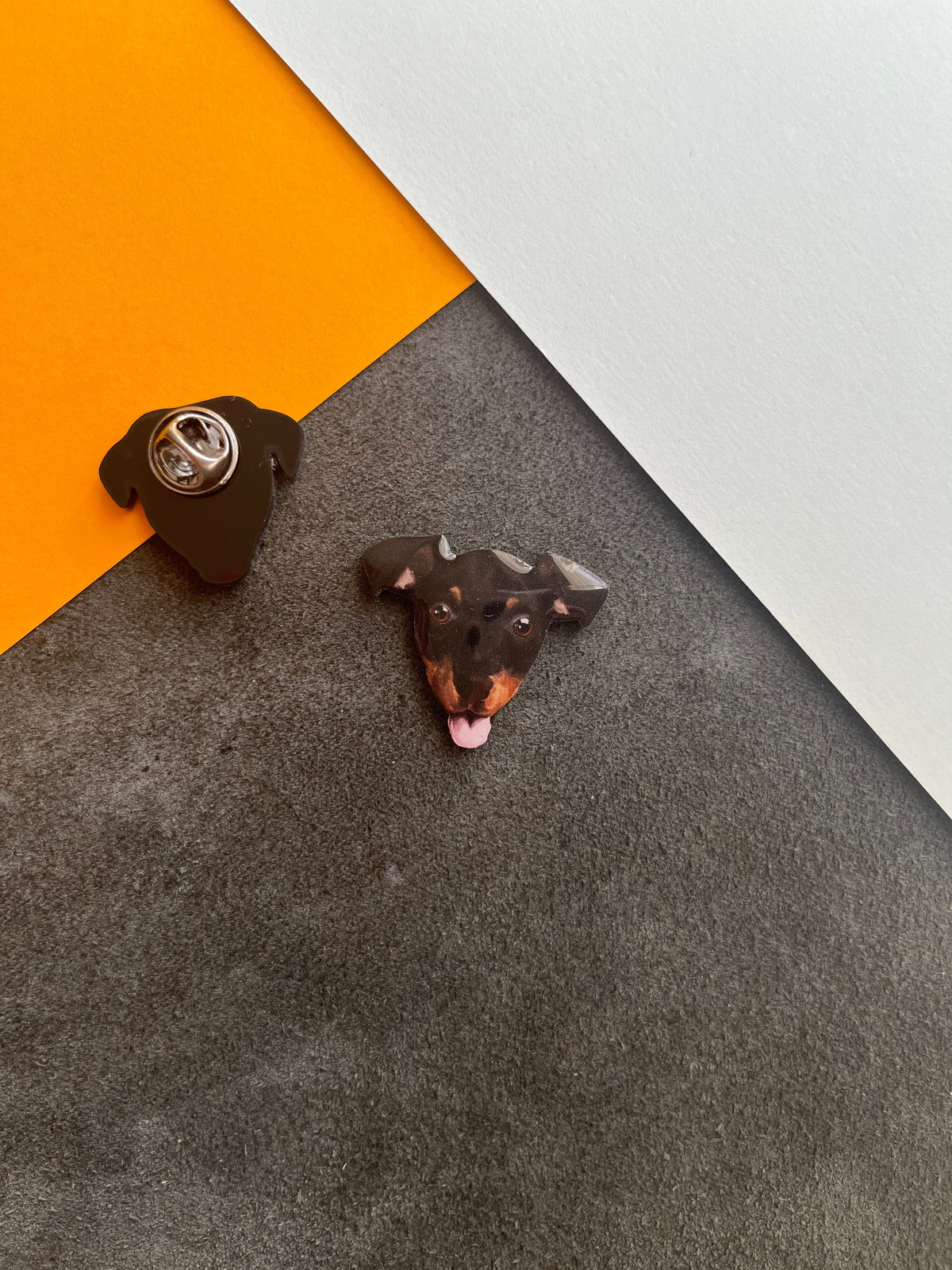 Pinscher | Yaka Rozeti - Evcil hayvanlar için mükemmel bir ürün.