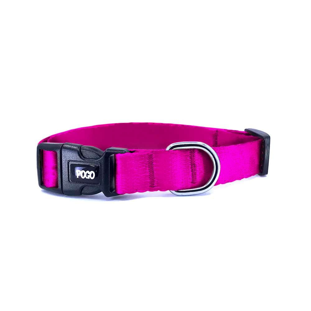 Fuschia | Köpek Tasması - Evcil hayvanlar için mükemmel bir ürün.