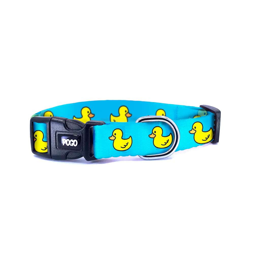 Blue Duck | Köpek Tasması - Evcil hayvanlar için mükemmel bir ürün.