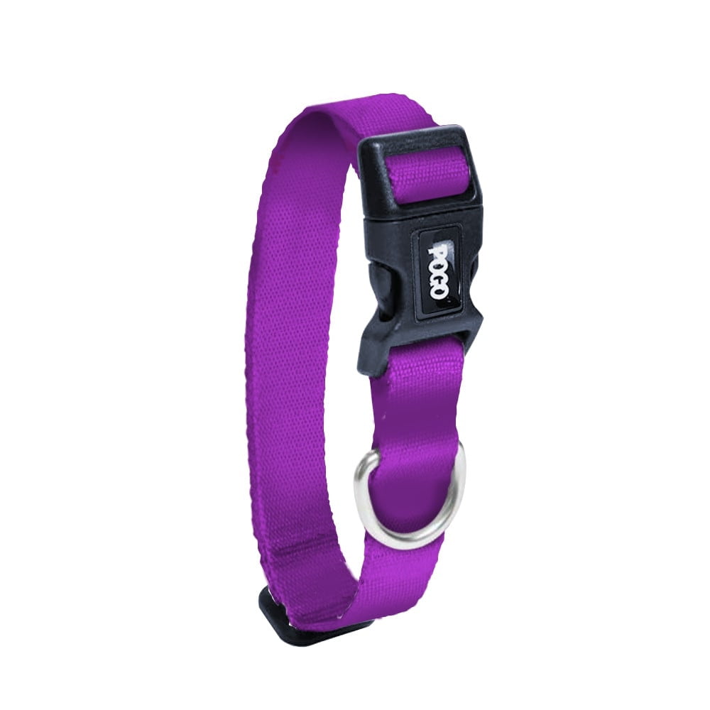 Purple | Köpek Tasması