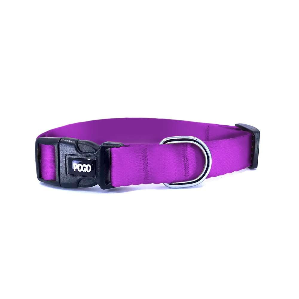 Purple | Köpek Tasması - Evcil hayvanlar için mükemmel bir ürün.