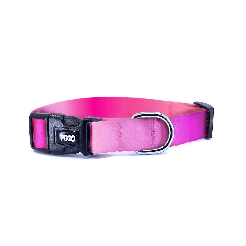 PinkFade | Köpek Tasması - Evcil hayvanlar için mükemmel bir ürün.