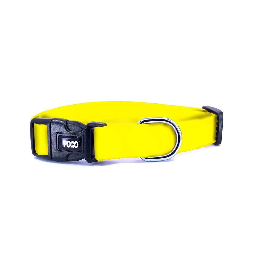 Yellow | Köpek Tasması - Evcil hayvanlar için mükemmel bir ürün.