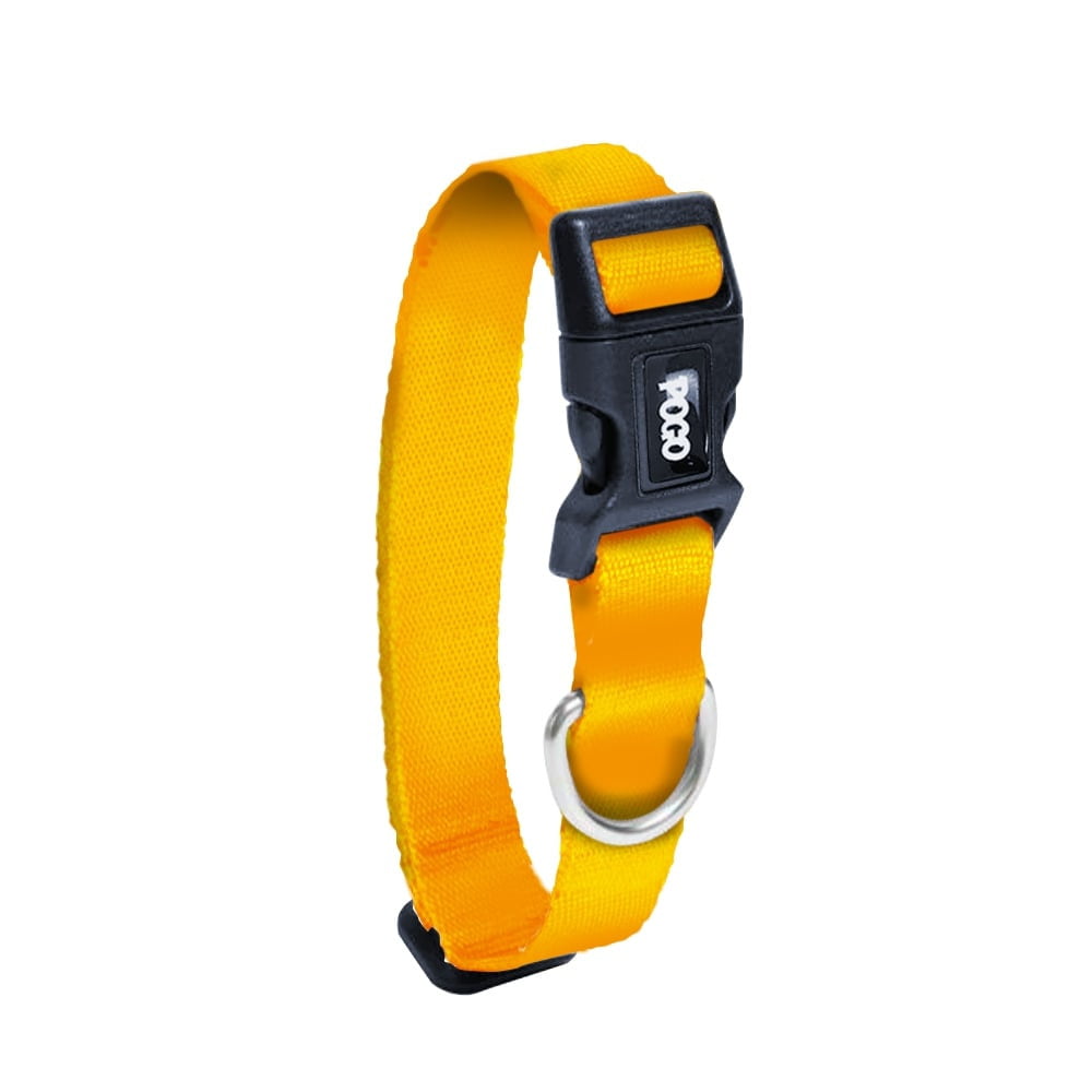 Orange | Köpek Tasması