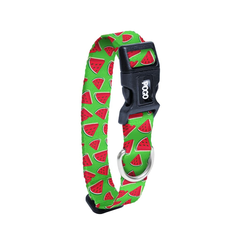 Watermelon | Köpek Tasması