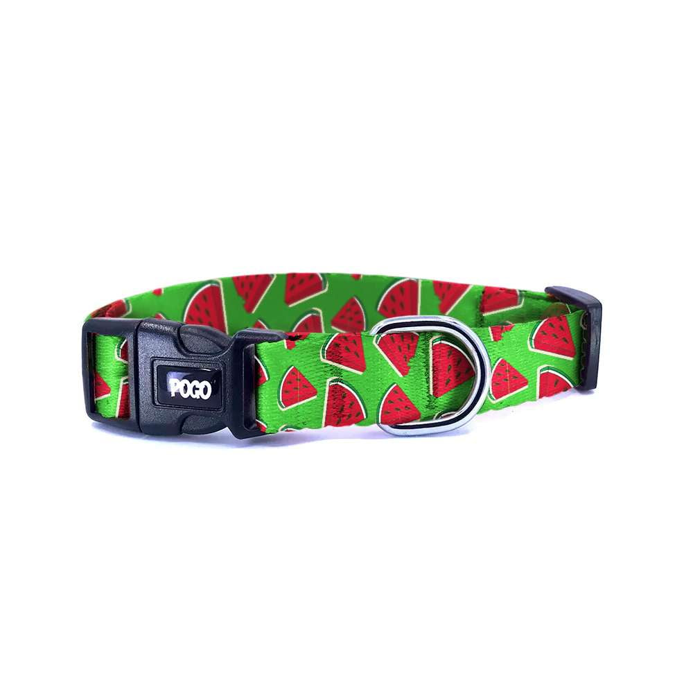 Watermelon | Köpek Tasması - Evcil hayvanlar için mükemmel bir ürün.