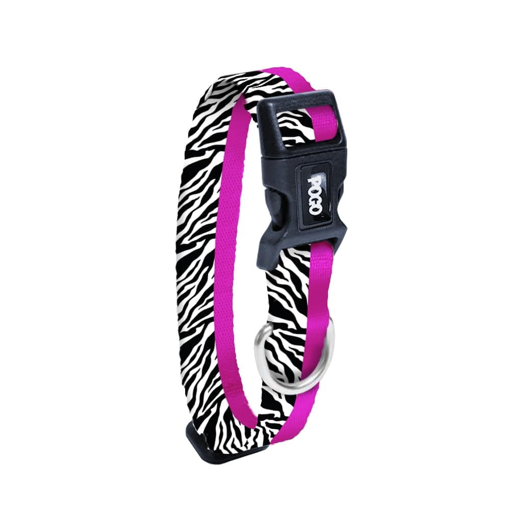 Zebra | Köpek Tasması