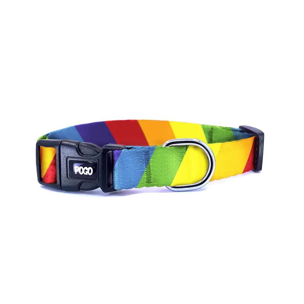 Rainbow | Köpek Tasması - Evcil hayvanlar için mükemmel bir ürün.