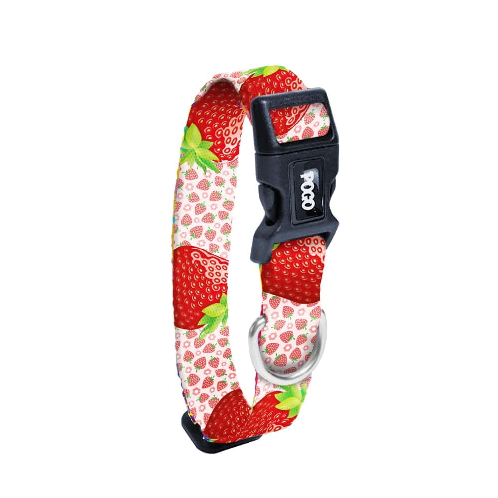 Strawberry | Köpek Tasması