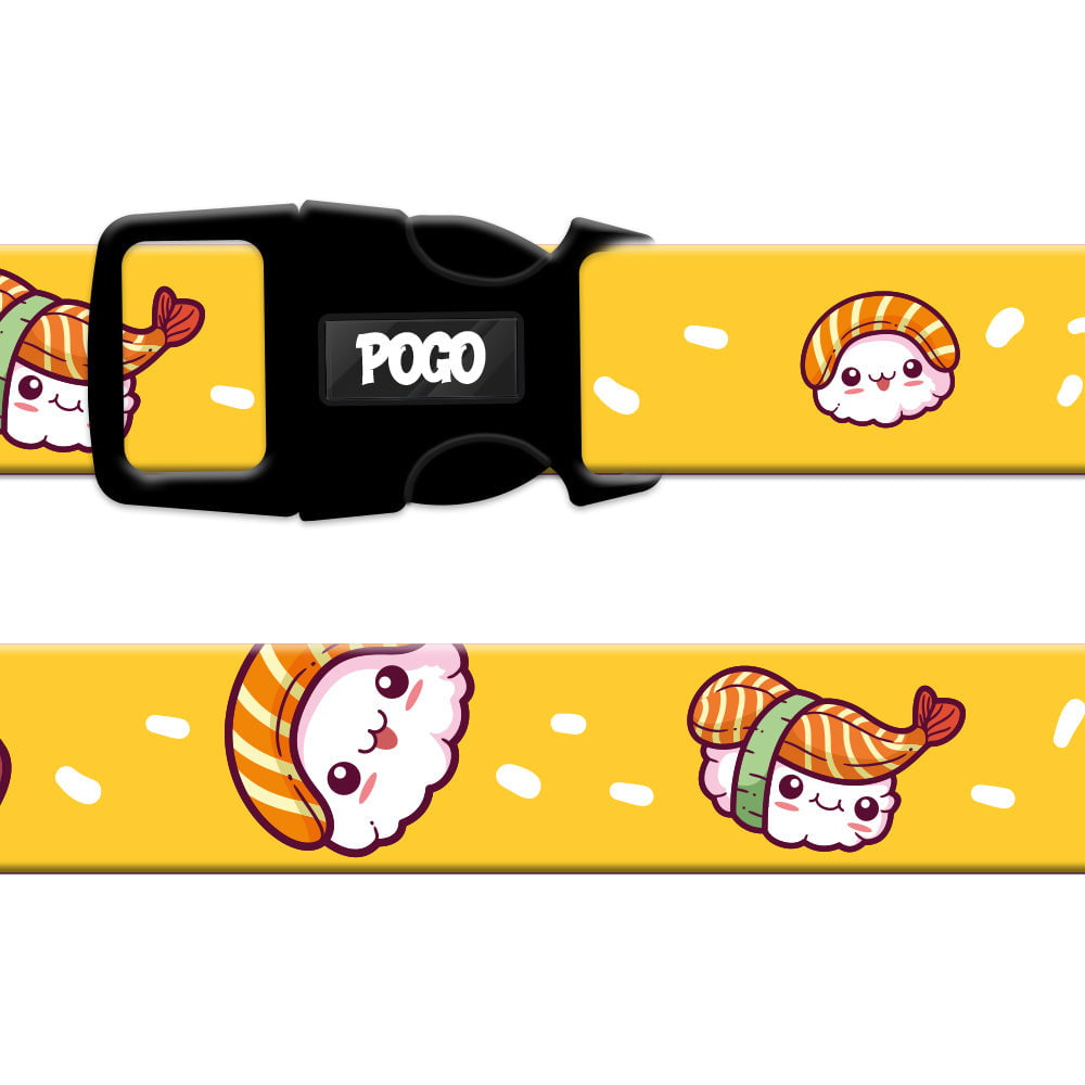 Sushi | Köpek Tasması