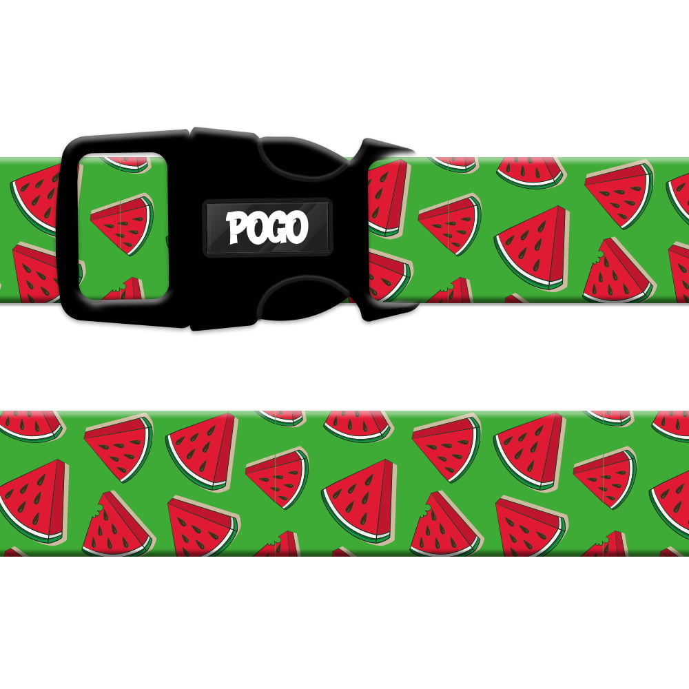 Watermelon | Köpek Tasması