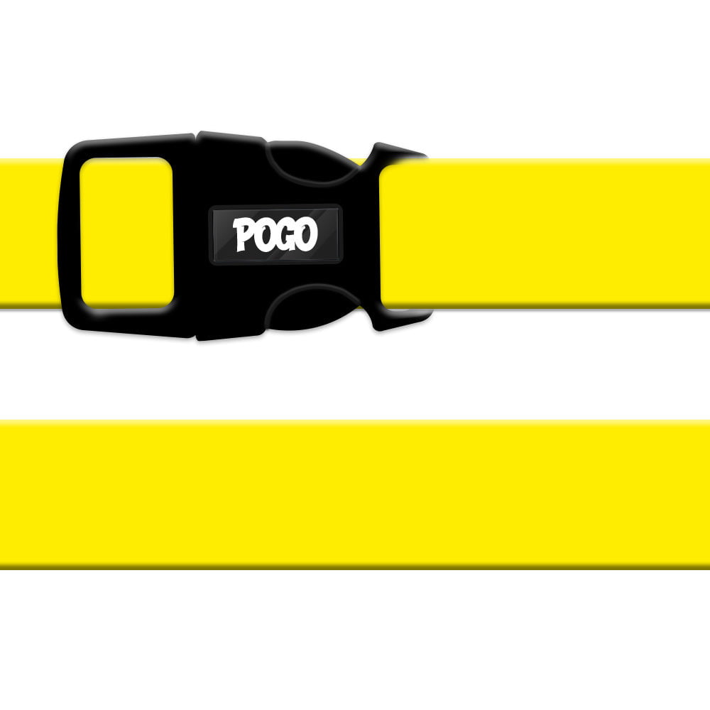 Yellow | Köpek Tasması