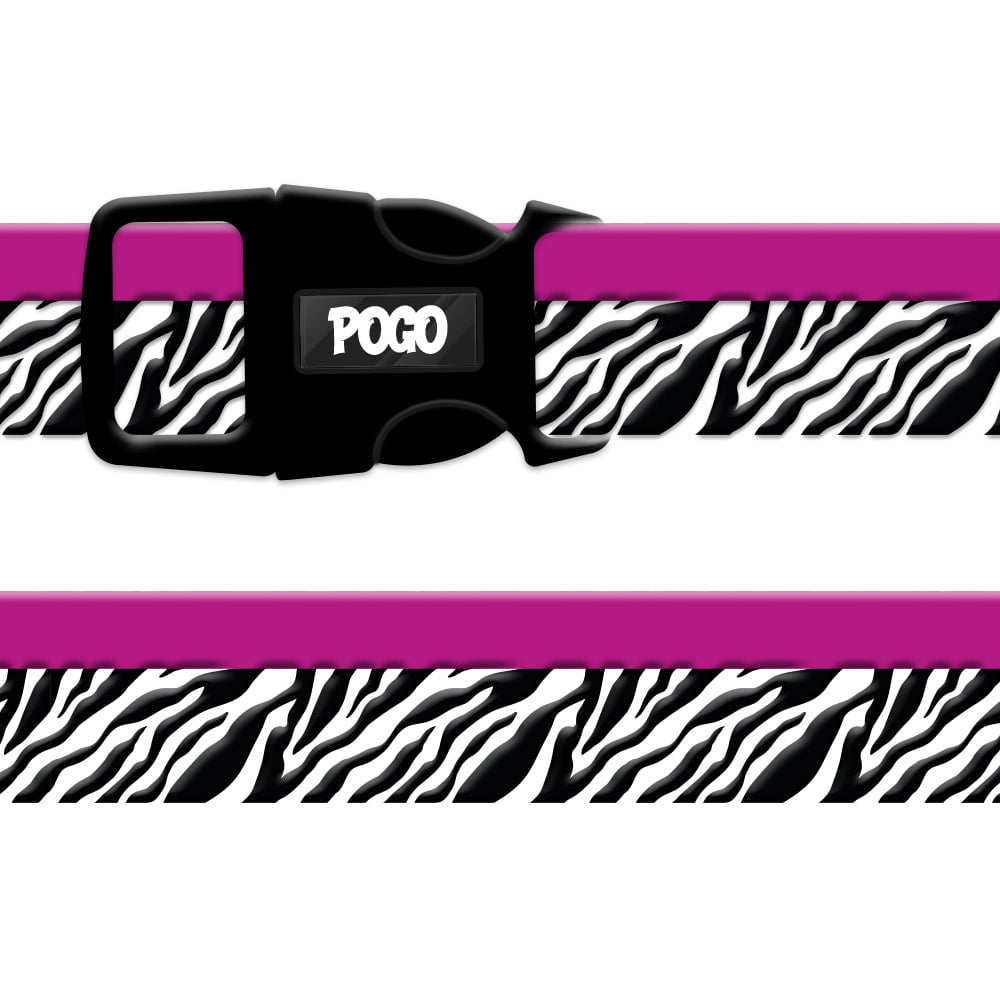 Zebra | Köpek Tasması