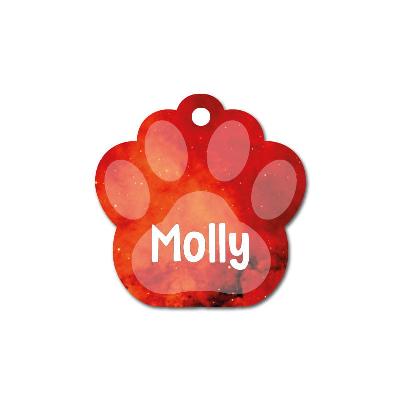 Turuncu Uzay Desenli Pati - Evcil hayvanlar için mükemmel bir ürün.